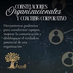 Constelaciones Organizacionales